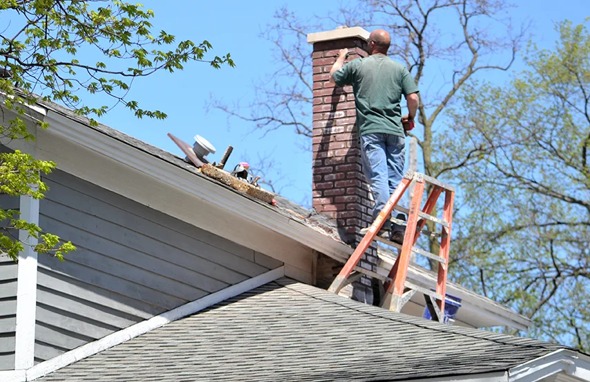 Chimney & Fireplace Inspections Services in Okemos, MI